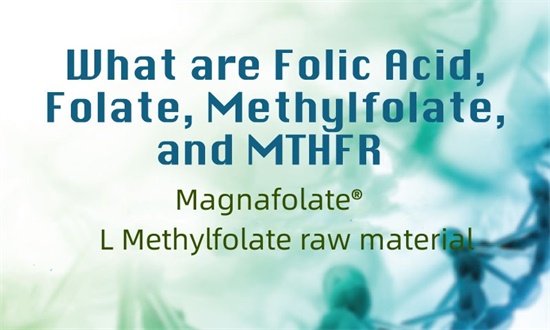 什么是叶酸、合成叶酸、甲基四氢叶酸和MTHFR？